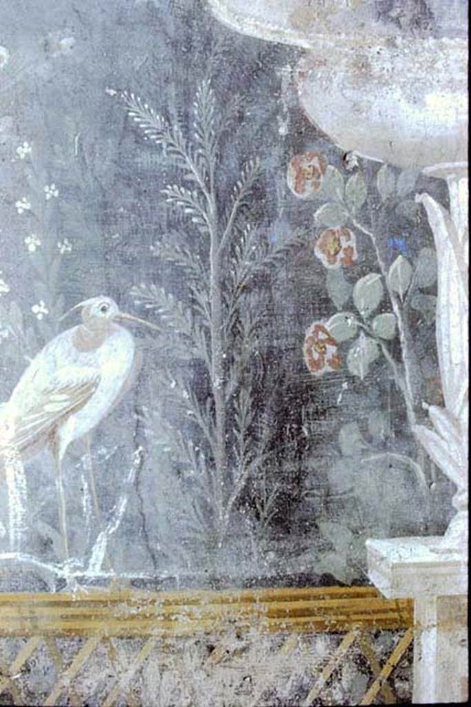 II.3.3 Pompeii. 1971. Room 11, detail of wall painting of heron.  
Photo by Stanley A. Jashemski.
Source: The Wilhelmina and Stanley A. Jashemski archive in the University of Maryland Library, Special Collections (See collection page) and made available under the Creative Commons Attribution-Non Commercial License v.4. See Licence and use details.
J71f0143
