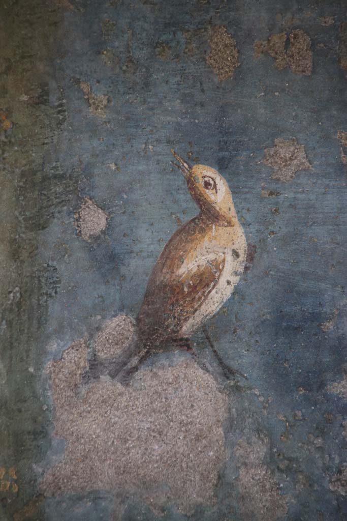II.3.3 Pompeii. September 2017. Room 11, west panel of south wall of peristyle. Detail of wall painting of a bird.
Photo courtesy of Klaus Heese.
