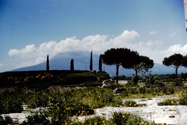 II.6 Pompeii. 1961. Looking north to ampitheatre and section of wall near Tower V, on right.
Photo by Stanley A. Jashemski.
Source: The Wilhelmina and Stanley A. Jashemski archive in the University of Maryland Library, Special Collections (See collection page) and made available under the Creative Commons Attribution-Non Commercial License v.4. See Licence and use details.
J61f0293
