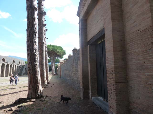 II.7.5 Pompeii. December 2006. Looking west along north portico.