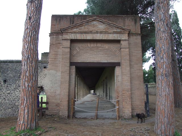 II.7.5 Pompeii. December 2005. Showing the replanted double row of plane trees.