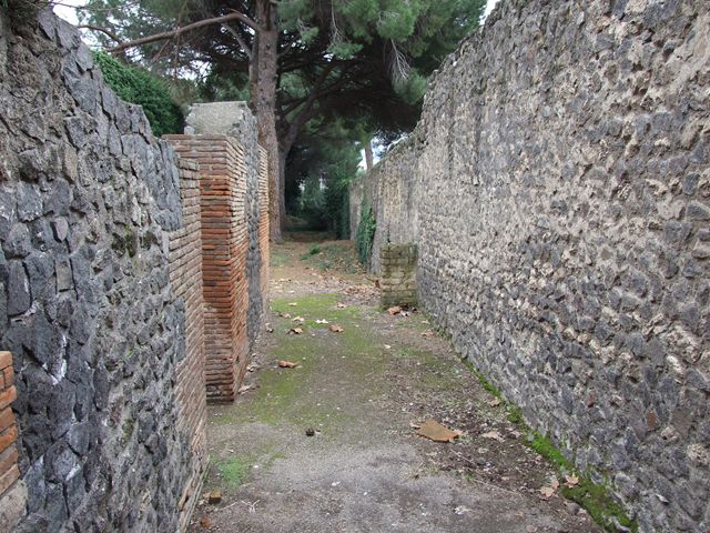 II.7.9a Pompeii. Palaestra.  
