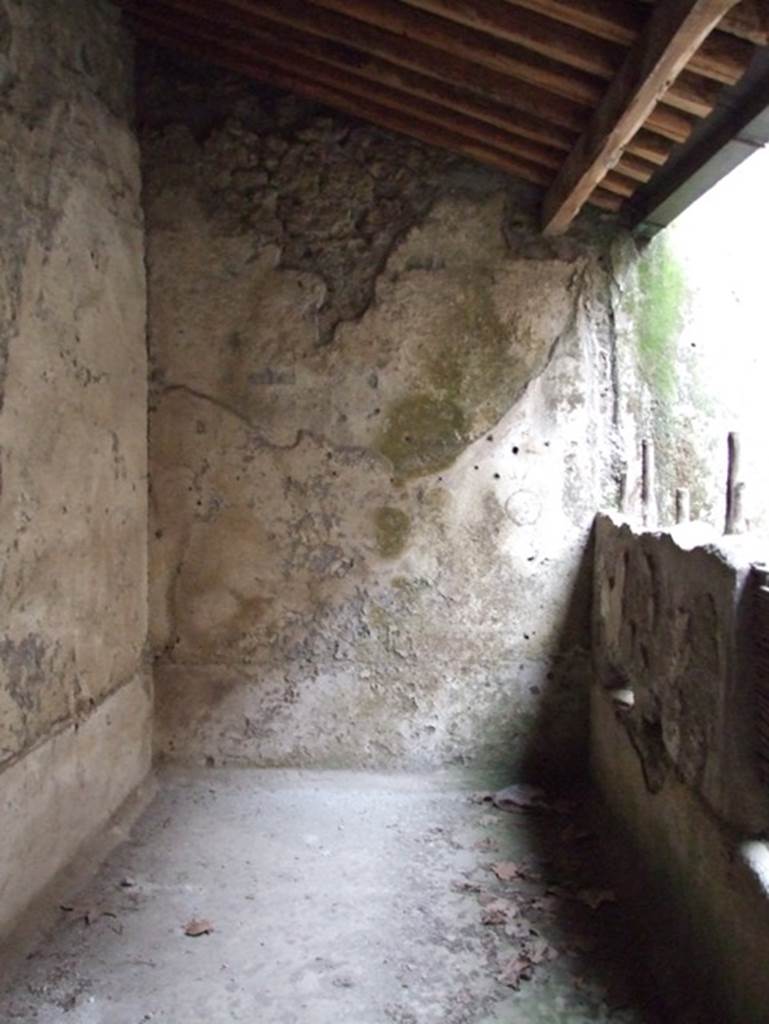 II.9.5 Pompeii, May 2018. Room 4, west wall (made from wood and plaster). Photo courtesy of Buzz Ferebee.