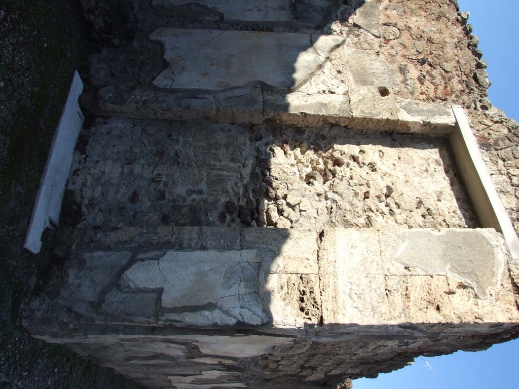 V.1.7 Pompeii.  December 2007. Room 17.  Peristyle.  Detail of mosaic water feature.