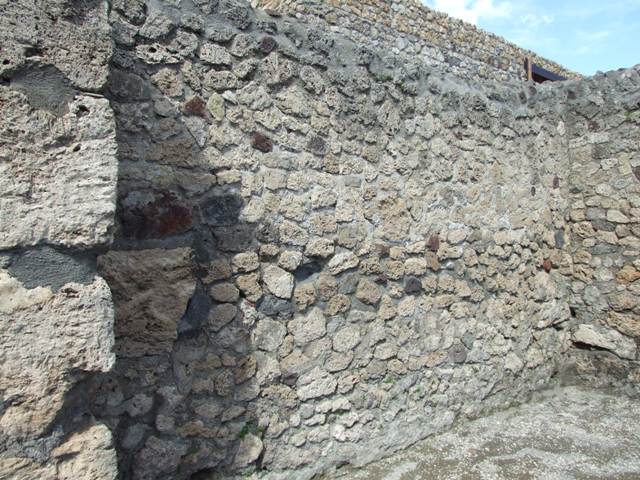 V.1.19 Pompeii. December 2007. North wall.