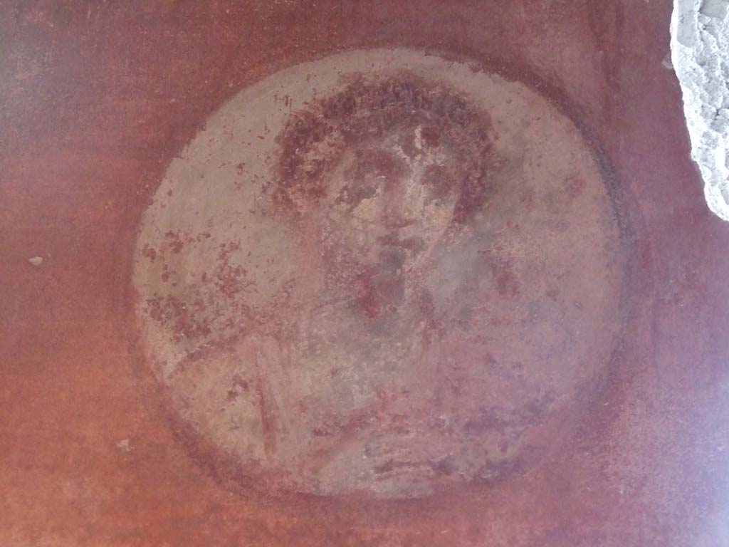 V.1.26 Pompeii. March 2009. Room 16, triclinium. Painted portrait medallion with feminine face, in south-east corner.
See Schefold, K., 1962. Vergessenes Pompeji. Bern: Francke. (p.212, fig 180,3)
