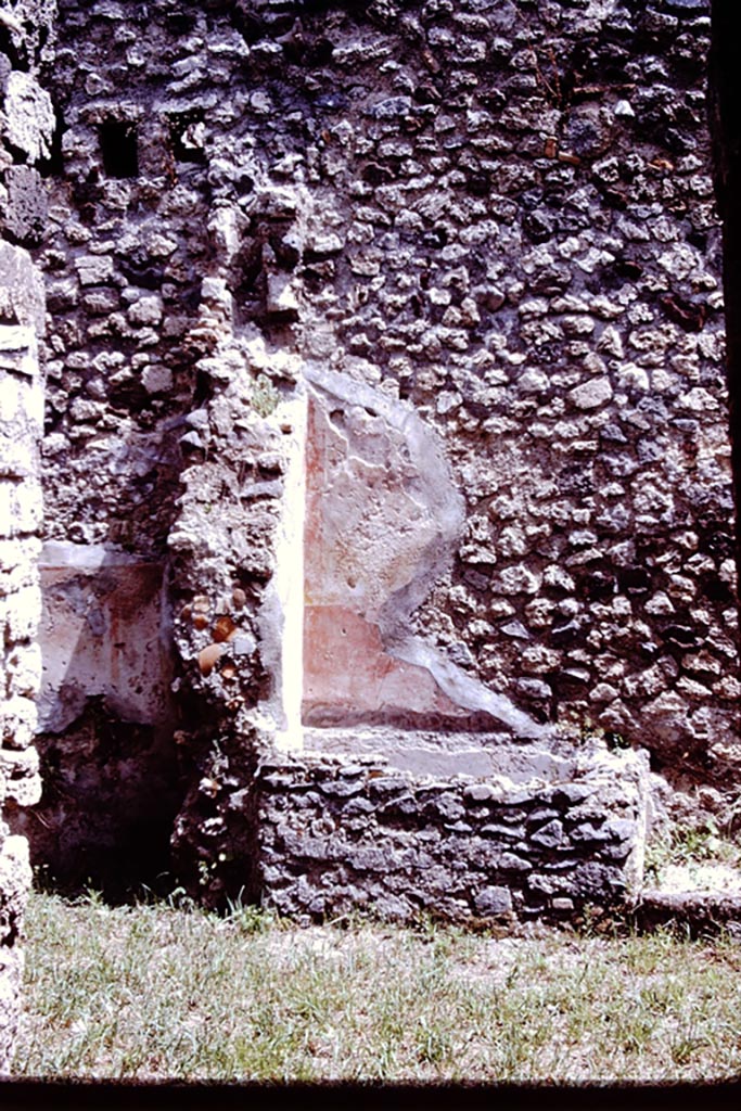 V.1.28 Pompeii. 1972. East wall of atrium. In 1972, Wilhelmina could only just make out three leaves.
See Jashemski, W. F., 1993. The Gardens of Pompeii, Volume II: Appendices. New York: Caratzas. (p.335)
Photo by Stanley A. Jashemski. 
Source: The Wilhelmina and Stanley A. Jashemski archive in the University of Maryland Library, Special Collections (See collection page) and made available under the Creative Commons Attribution-Non-Commercial License v.4. See Licence and use details.
J72f0403
