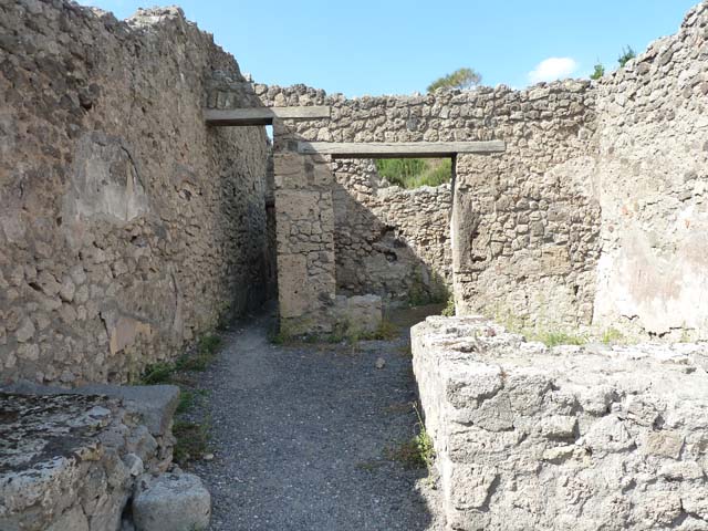 V.2.13 Pompeii,  March 2009.  Rear room, North wall.