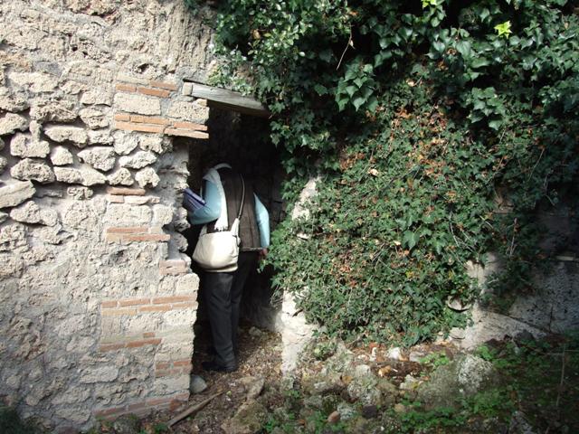 V.2.15 or un-numbered house? Pompeii. December 2007. Room 11d. Niches.