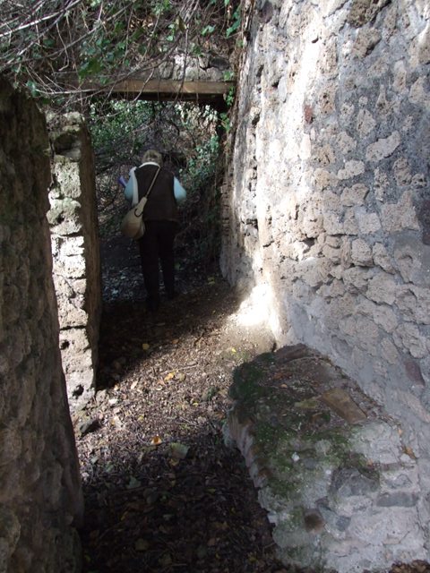 V.2.15 or un-numbered house? Pompeii. December 2007. Room 11d.
Arched niche below rectangular niche