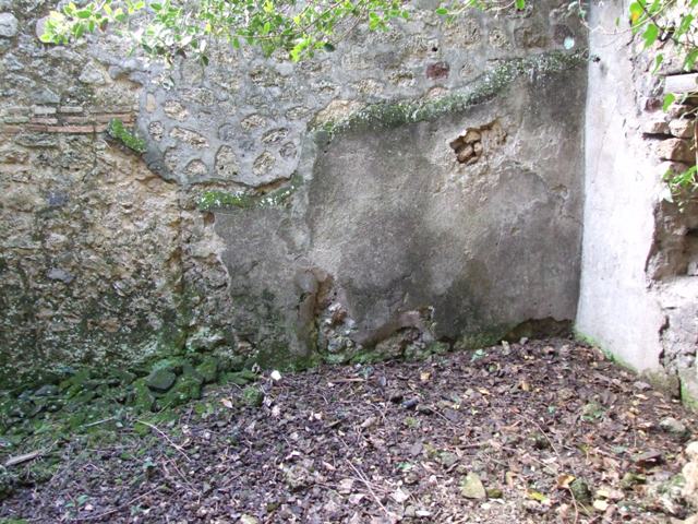V.2.15 or un-numbered house? Pompeii. December 2007. Room 11e. South wall.