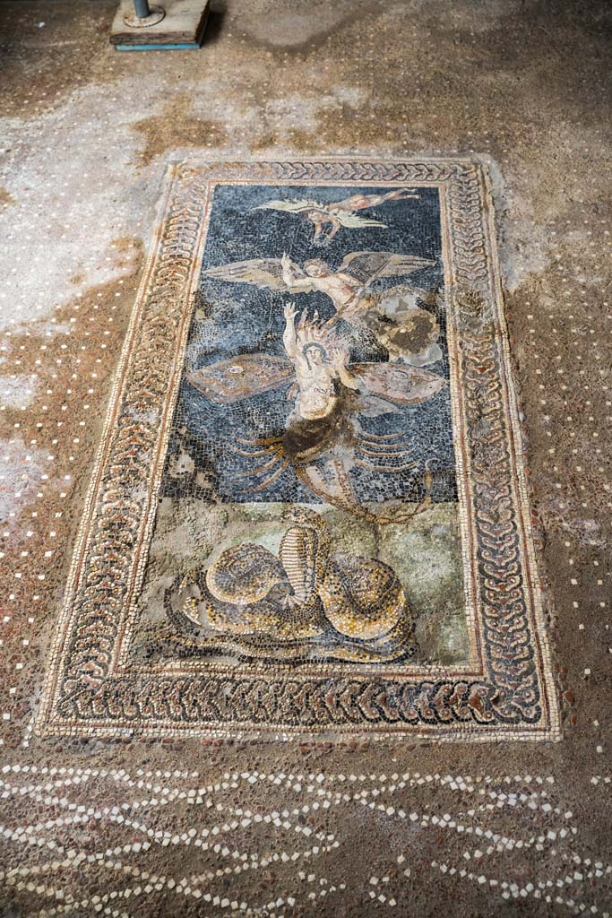 V.2, Pompeii. Casa di Orione. October 2021. 
Room A13, floor mosaic in south ala. Photo courtesy of Johannes Eber.
