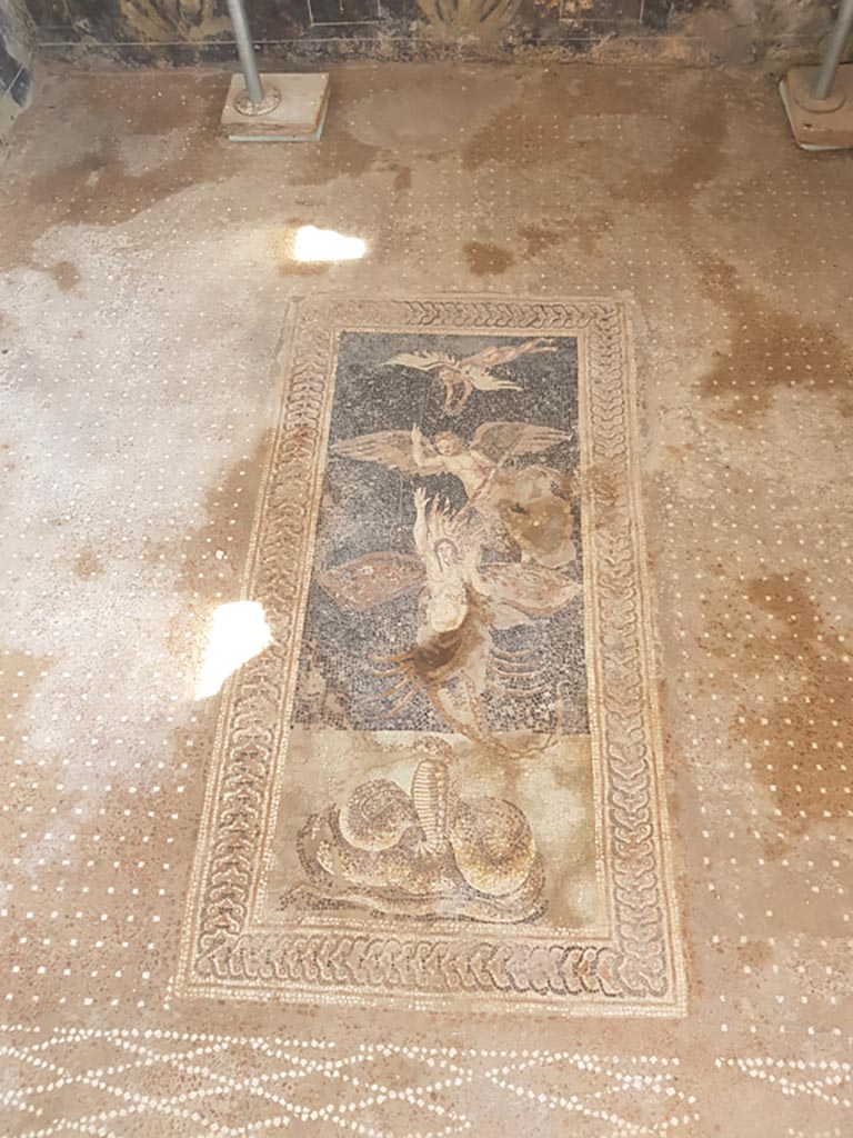 V.2 Pompeii. Casa di Orione. October 2022. 
Room A13, detail from flooring in south ala. Photo courtesy of Klaus Heese.
