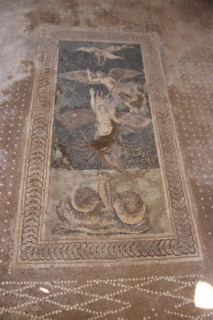 V.2.Pompeii. Casa di Orione. September 2021. 
Room A13, floor mosaic in south ala. Photo courtesy of Klaus Heese.
