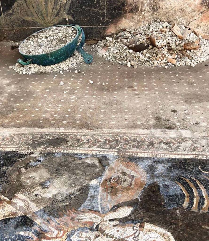 V.2.15 Pompeii. October 2018. Room A13 on south side of atrium. Bronze two handled bowl and bronze pan found on mosaic floor.
Photograph © Parco Archeologico di Pompei.


V.2.15 Pompeii. 2018. Room A13 on south side of atrium. Bronze two handled bowl, bronze pan and clay utensils found on mosaic floor.
Photograph © Parco Archeologico di Pompei.
