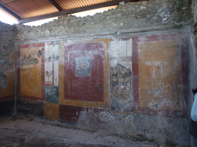 V.3.6 Pompeii. March 2009. Triclinium. West wall, painted panel.
