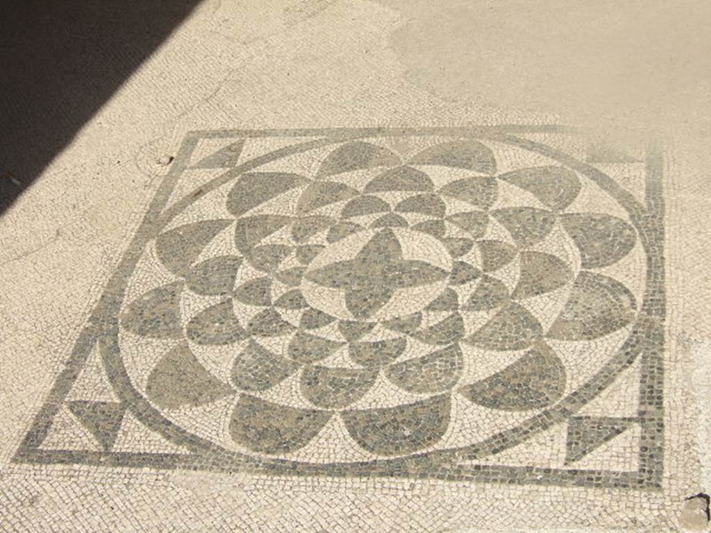 VI.1.6 Pompeii. September 2004. Centre of mosaic floor.
