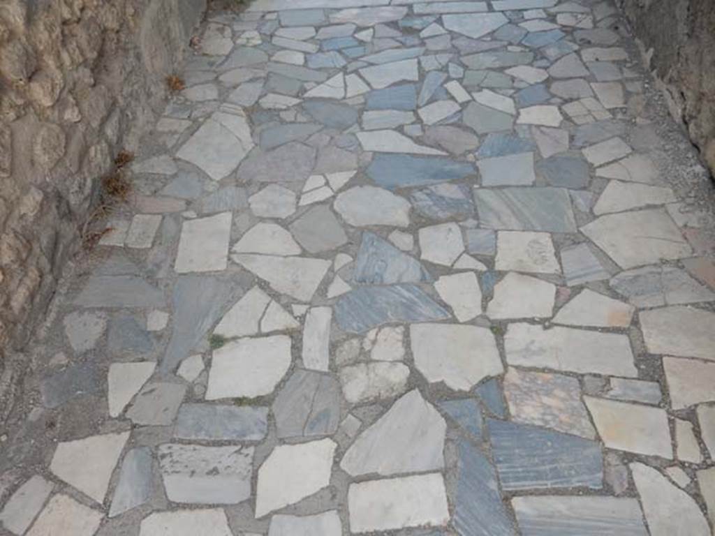 VI.1.7 Pompeii. May 2017. Flooring in entrance corridor formed from slabs of polychrome marble.  Photo courtesy of Buzz Ferebee.
