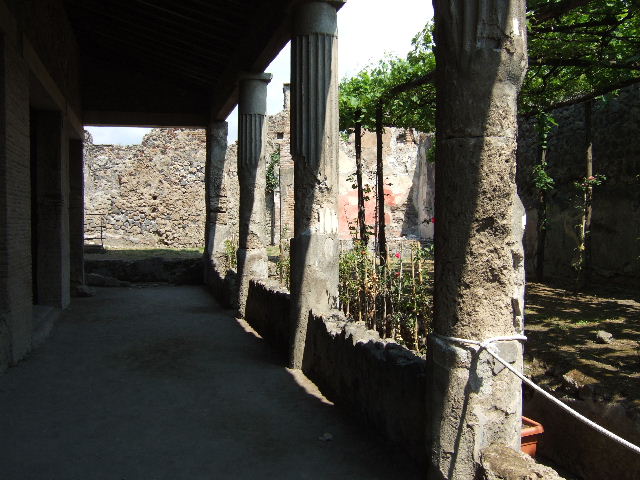 VI.2.4 Pompeii. Painted plaster in south-west corner of garden apartment.
Photographed 1970-79 by Günther Einhorn, picture courtesy of his son Ralf Einhorn.