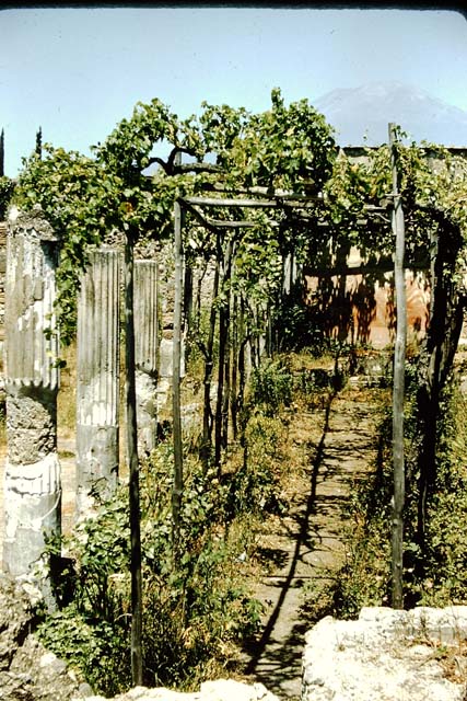 VI.2.4 Pompeii. May 2006. Cubiculum in the south-west corner of small garden. Wall painting of Ares and Aphrodite. Mau states: On the outer walls of the 2 sleeping rooms, in the south Garden, ………room on the right on the rear inner wall - two pairs of lovers, Paris and Helen in the House of Menelaus, and Aries and Aphrodite. See Mau, A., 1907, translated by Kelsey F. W. Pompeii: Its Life and Art. New York: Macmillan. (p.283-7). Helbig states: 2nd peristyle on the south side of the house, room to the right behind this peristyle, Paris & Elena, 1311, above that – Aphrodite and Aries 319. See Helbig, W., 1868. Wandgemälde der vom Vesuv verschütteten Städte Campaniens. Leipzig: Breitkopf und Härtel. (1311, 319).