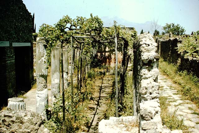 VI.2.4 Pompeii. May 2010. Cubiculum in the south-west corner of small garden. Central panel of south wall with faded remains of fresco of Paris and Elena. Photo courtesy of Rick Bauer. See Helbig, W., 1868. Wandgemälde der vom Vesuv verschütteten Städte Campaniens. Leipzig: Breitkopf und Härtel. (1311).
