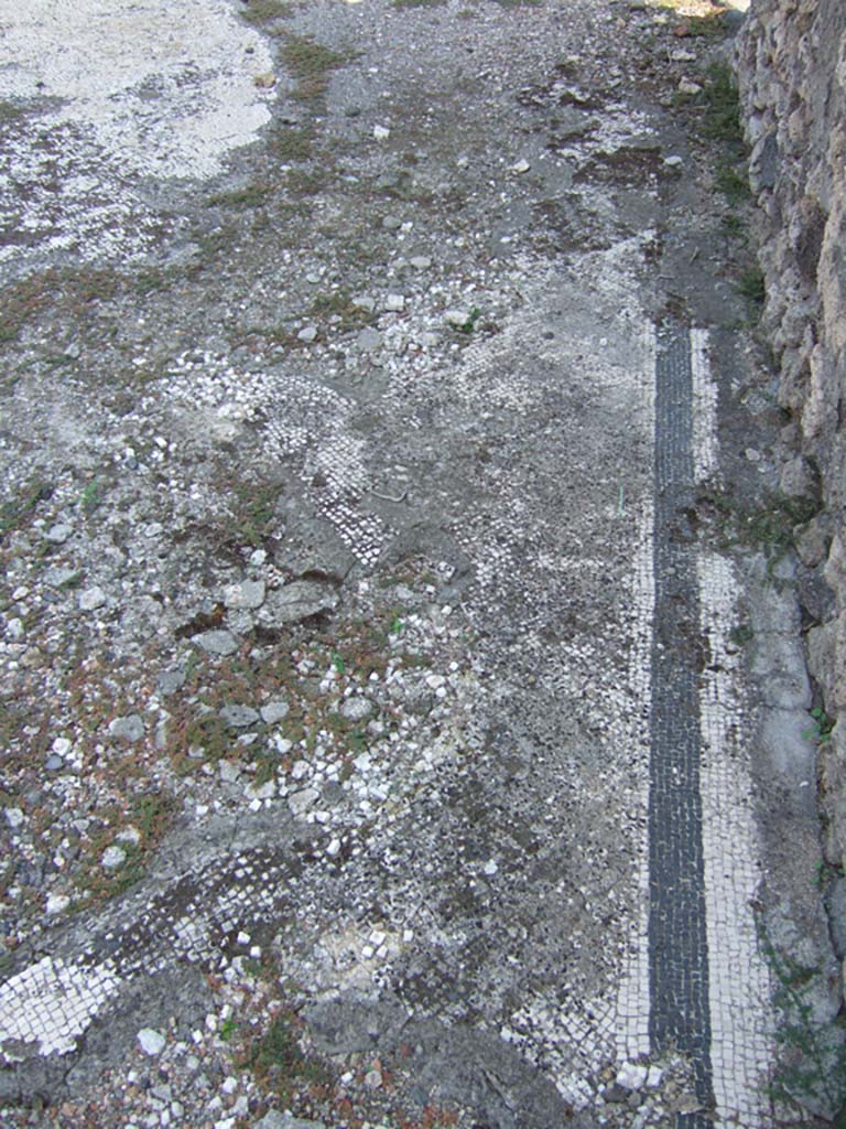 VI.5.9 Pompeii. September 2005. Mosaic floor in tablinum.  