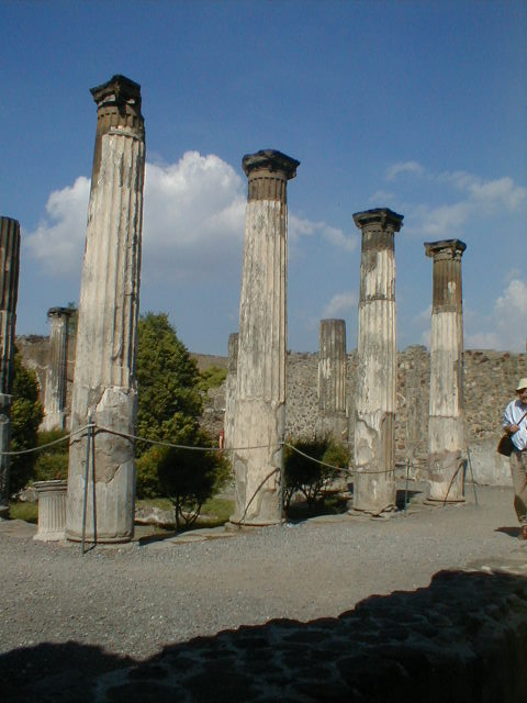 VI.6.1 Pompeii. September 2004. Looking south across pool in peristyle, towards tablinum, atrium and entrance. According to Jashemski, the portico was two steps above the level of the tablinum.