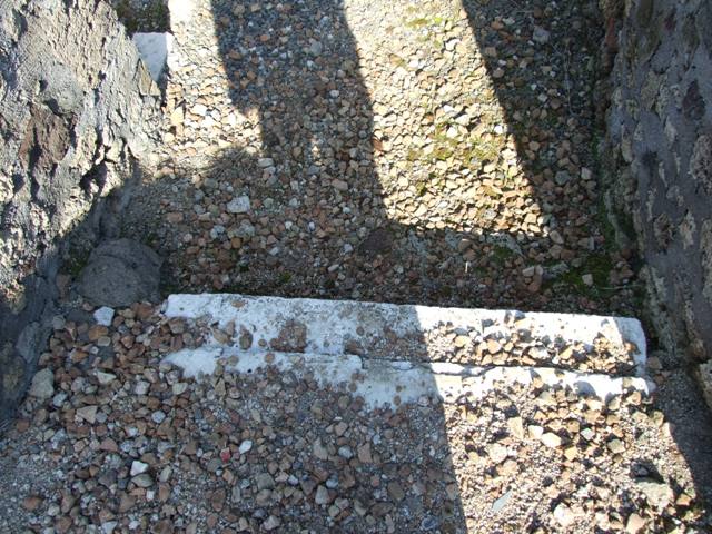 VI.7.3 Pompeii. March 2009. Room 1. Atrium. Remains of Impluvium. Looking north east.