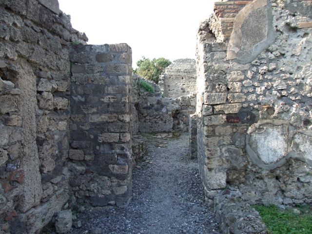 VI.7.6 Pompeii. March 2009. Room 6, garden area, west outer side of lararium.