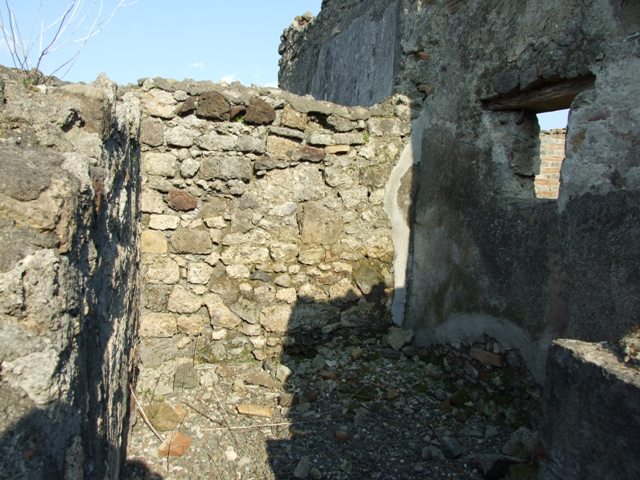 VI.7.6 Pompeii. March 2009. Room 8. South wall.