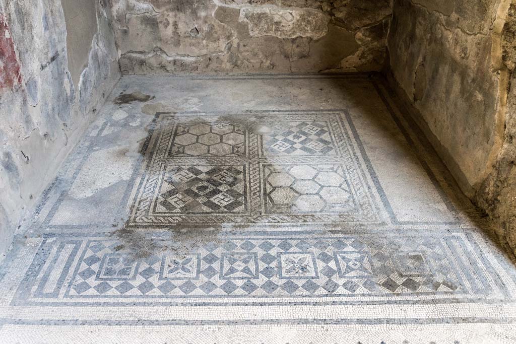 VI.8.3/5 Pompeii. April 2022. Room 4, east ala, detail of mosaic flooring and central emblema. Photo courtesy of Johannes Eber.