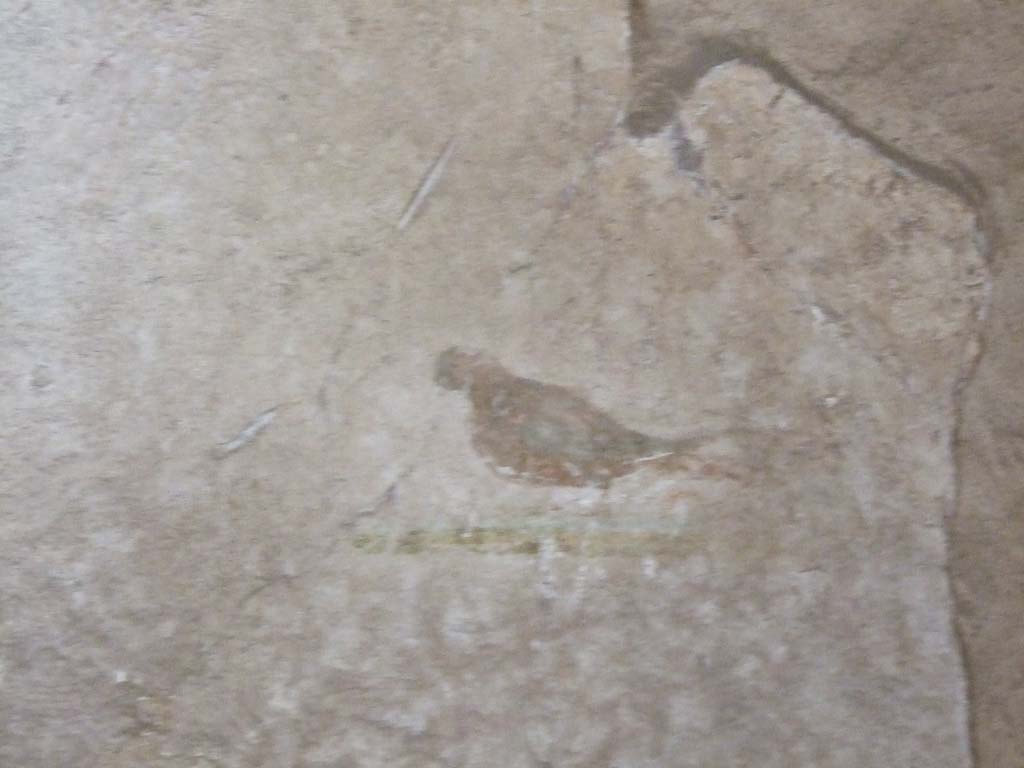 VI.8.5 Pompeii. March 2009. Room 7, painting of bird on north wall, west end, in cubiculum. 