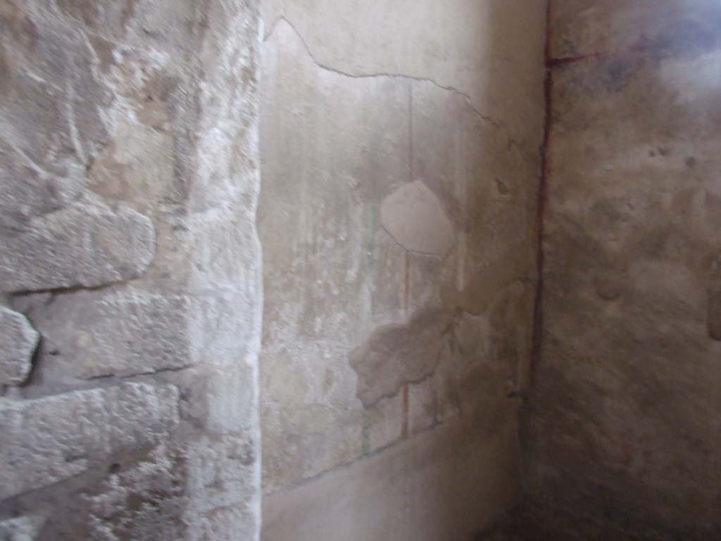 VI.8.5 Pompeii. March 2009. Room 7, south wall of cubiculum.
At the west end of the wall, another bird similar to the one on the north wall can be seen.
