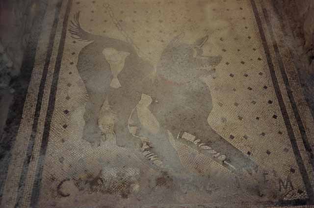 VI.8.5 Pompeii. May 2015. Detail from Cave Canem mosaic. Photo courtesy of Buzz Ferebee.
