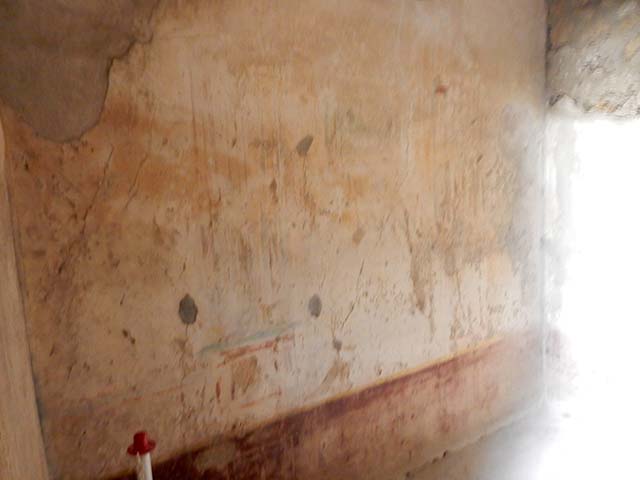 VI.8.23 Pompeii. September 2005. Painted bird.