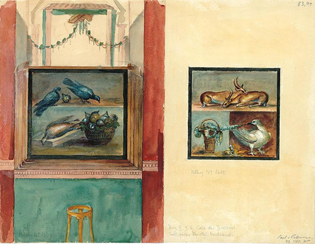 VI.9.6 Pompeii. Peristyle 6, watercolour copy (left) of wall painting of two birds pecking at a bowl of figs. 
A dead partridge is lying at the side of the bowl.
From the west end of the north wall of the peristyle 6.
On the right is a copy of the wall painting of two deer, a basket with garlands and a goose, from north wall of peristyle on west side of doorway.
DAIR 83.94. Photo © Deutsches Archäologisches Institut, Abteilung Rom, Arkiv.
See http://arachne.uni-koeln.de/item/marbilder/5022269
