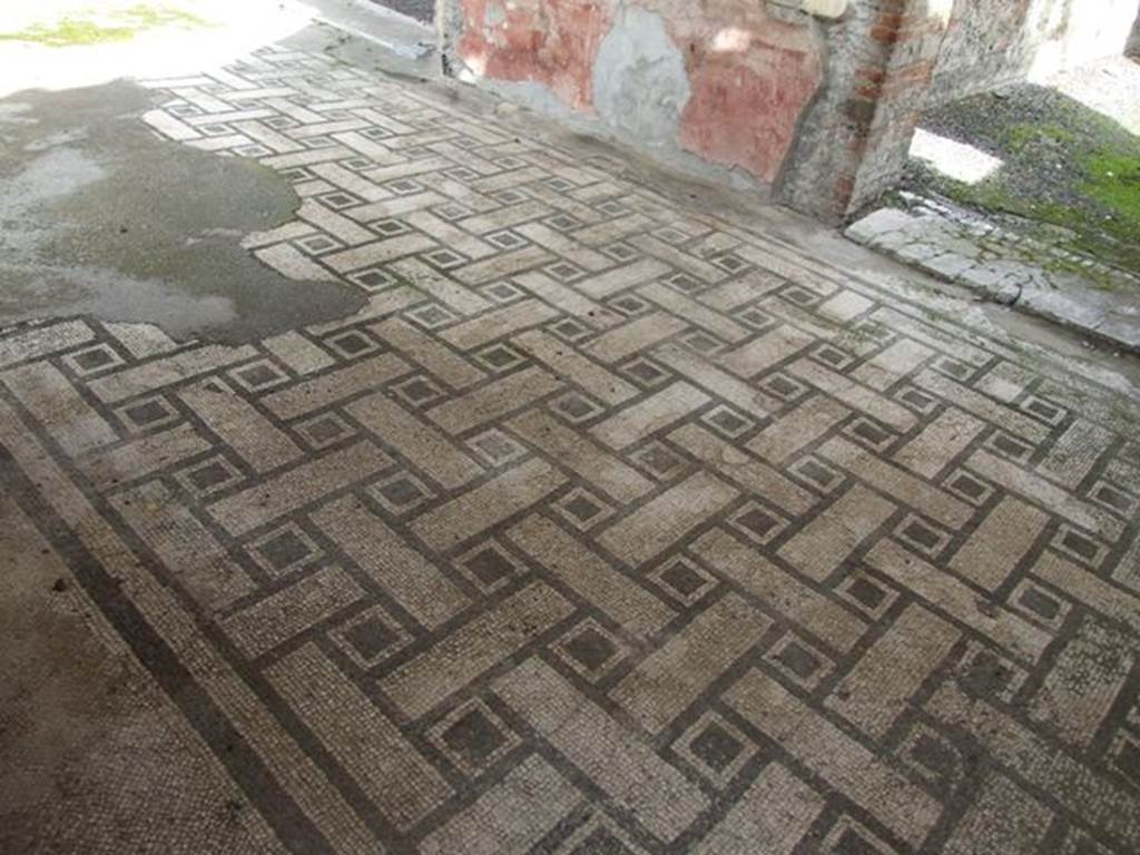 VI.9.6 Pompeii. March 2009. Room 6, mosaic floor at east side of peristyle.