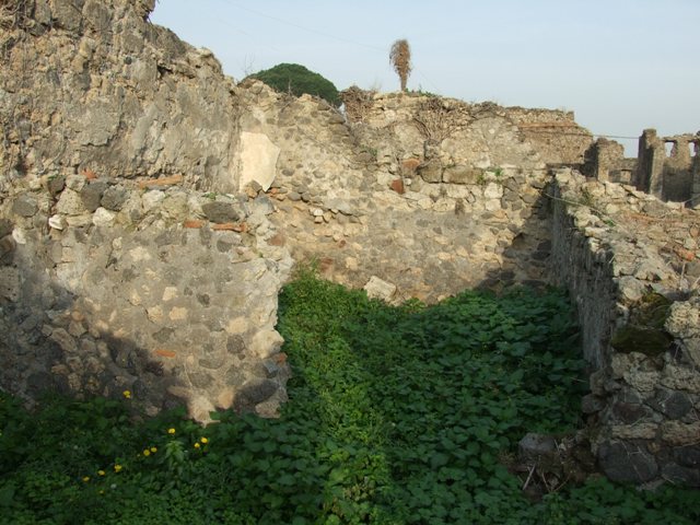 VI.11.1 Pompeii. September 2005. Overgrown entrance doorway.