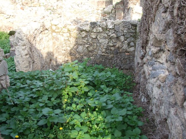 VI.11.2 Pompeii. September 2005. Overgrown entrance doorway.