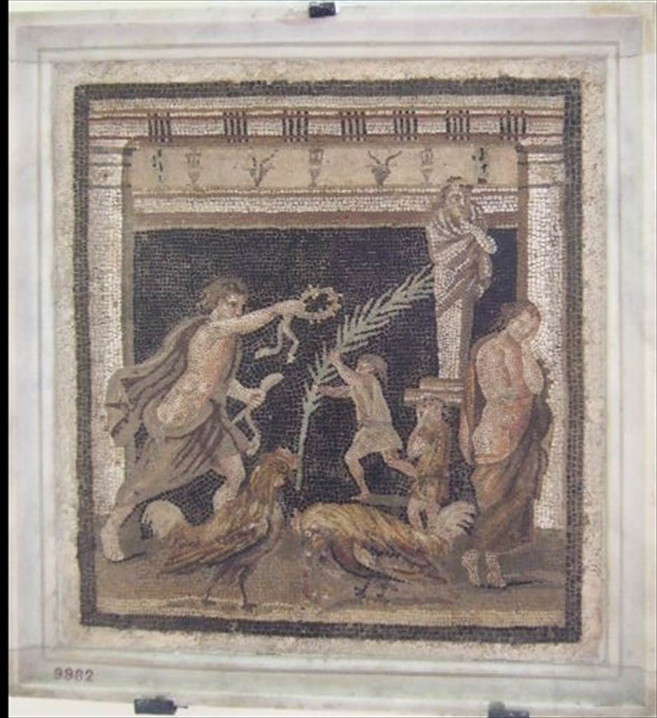 VI.11.10 Pompeii. Found in small room 44, on left side of room 43, on 10th September 1835.  
Mosaic showing a cock fight in the presence of two youths.
Now in Naples Archaeological Museum, inventory number 9982.
See Pagano, M. and Prisciandaro, R., 2006. Studio sulle provenienze degli oggetti rinvenuti negli scavi borbonici del regno di Napoli. Naples: Nicola Longobardi. (p.151), PAH II, 316.
According to Fiorelli in PAH, II, (p.316) 
10th September 1835. And in the floor of the small room on the left, near to the left corner at the head of the same tablinum, we have discovered a second mosaic, sized 18.16 inches squared (0.46m squared) or in italian pal. 1  x 1  showing two cocks having a quarrel, one being injured, his owner stands dejected, while the owner of the victorious cock happily holds out a wreath/crown, as he is handed a palm leaf.


