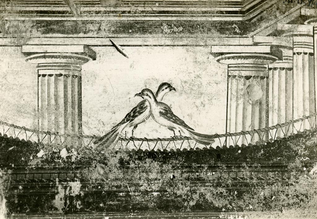 VI.11.10 Pompeii. Pre-1937-39. Room 46, detail of painted birds from upper west wall.
Photo courtesy of American Academy in Rome, Photographic Archive. Warsher collection no. 1678.
