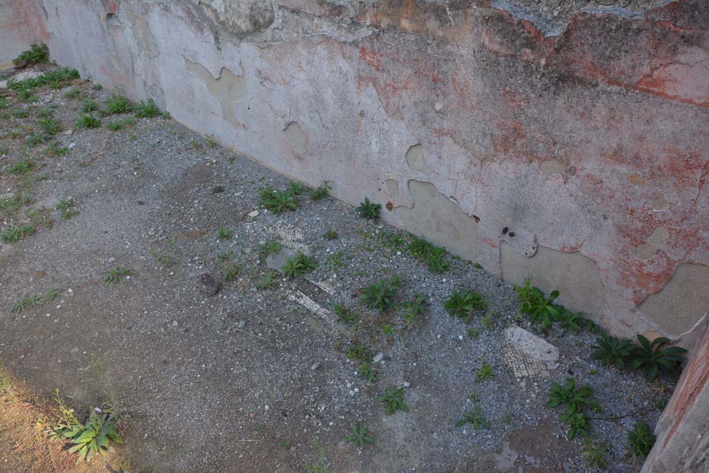 VI.11.10 Pompeii. October 2017. Room 35, traces of mosaic flooring near east wall.
Foto Annette Haug, ERC Grant 681269 DCOR
