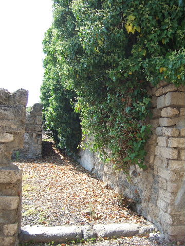 VI.11.15 Pompeii. September 2005. Closed tablinium on west side of atrium, with corridor to rear kitchen, on right. According to Boyce, at the end of the corridor, were to be seen the ruins of a structure enclosing a rectangular niche. The inside walls were coated with white stucco.
Here was probably the lararium described in the report as –
“un piccolo masso di fabbrica, forse ara, ed una piccolo nicchia, per cui potrebbe credersi un sacrario”. His reference was – Bull. Arch. Nap., i, 1843, 74.
See Boyce G. K., 1937. Corpus of the Lararia of Pompeii. Rome: MAAR 14. (p.51, no.187).
See See Giacobello, F., 2008. Larari Pompeiani: Iconografia e culto dei Lari in ambito domestico. Milano: LED Edizioni. (p.294).