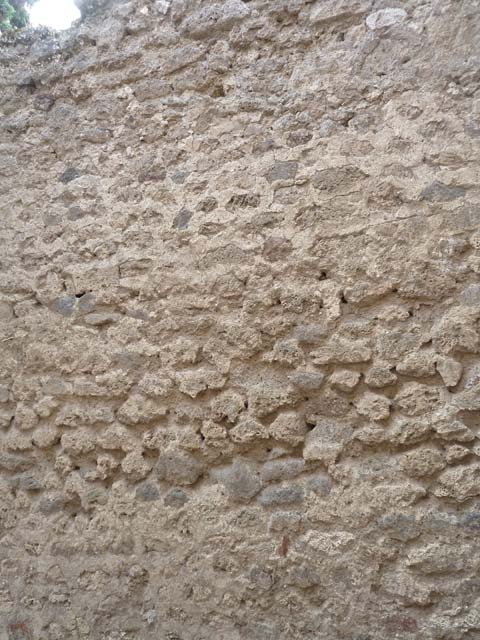 VI.12.2 Pompeii. September 2015. North wall.