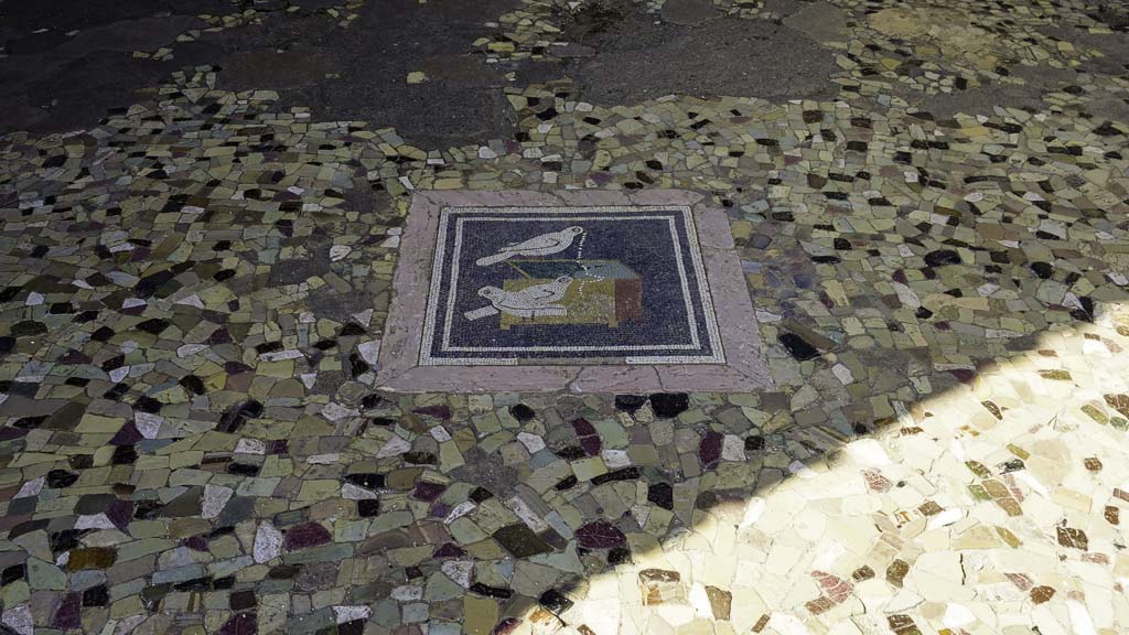 VI.12.2 Pompeii. September 2021. Central emblema in floor of ala 29 on west side of atrium. 
Detail of mosaic picture of doves pulling a necklace from a jewellery box. Photo courtesy of Klaus Heese.
