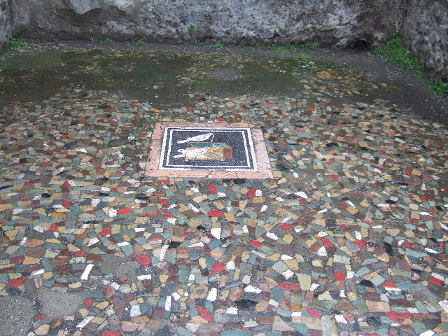 VI.12.2 Pompeii. September 2005. Triclinium Mosaic floor. West end.
