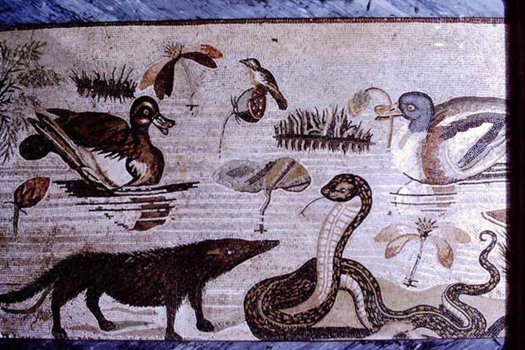 VI.12.2 Pompeii. Mosaic of hippopotamus, crocodile, Ibis and other creatures of the Nile. 
This threshold was found at the open front of the broad exedra (37) between the columns in front of the Alexander mosaic, on 24th October 1831. 
See Mau, A., 1907, translated by Kelsey F. W. Pompeii: Its Life and Art. New York: Macmillan. (p. 293).
Now in Naples Archaeological Museum. Inventory number 9990.
See PAH II, 250.
See Real Museo Borbonico VIII Ta XLV (1832).
