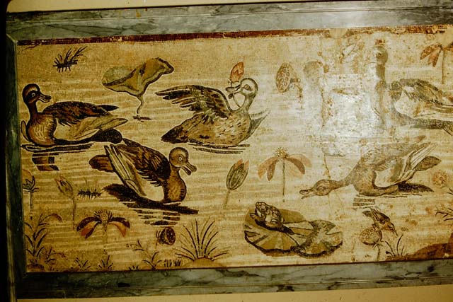 VI.12.2 Pompeii. Found in the pavement of the Exedra. Mosaic of water birds. Now in Naples Archaeological Museum. Inventory s. n. See Real Museo Borbonico VIII Ta XLV (1832).