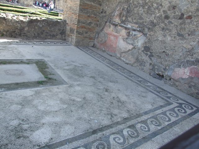 VI.12.2 Pompeii. March 2009. 
Oecus or triclinium on west side of corridor, on south side of second/rear peristyle, looking south over east end of mosaic floor. 

