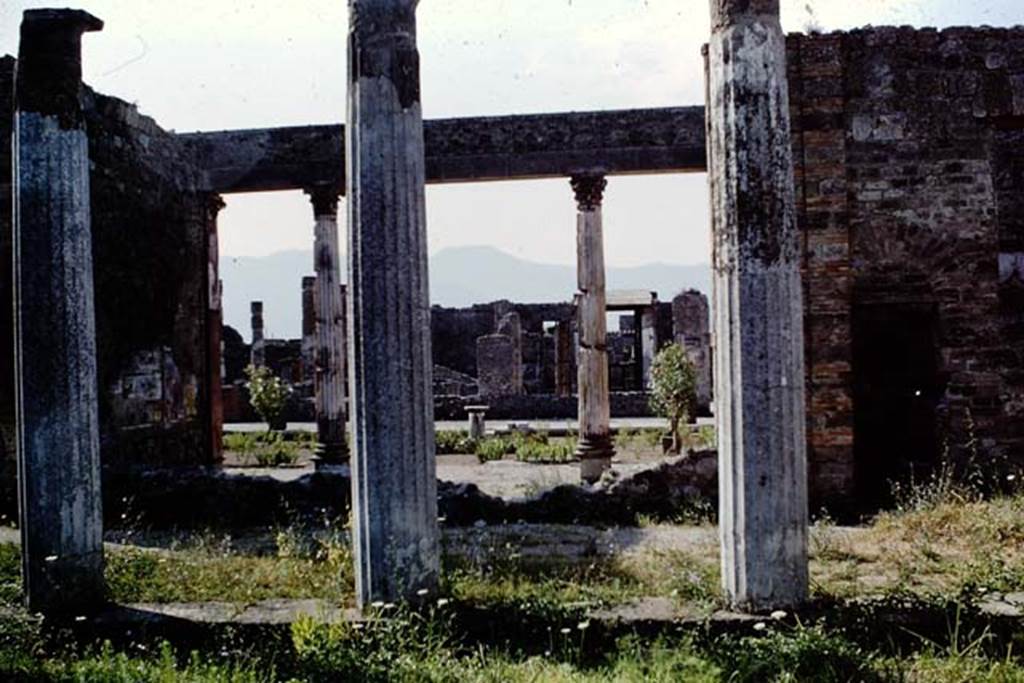 VI.12.2 Pompeii. September 2005. Looking south-east from exedra, across first peristyle garden towards VI.12.5. 
